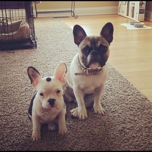 Meet your Posher, Liz